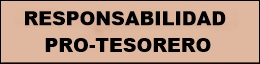 Pro-tesorero