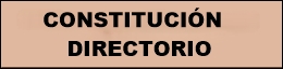 Constitución directorio