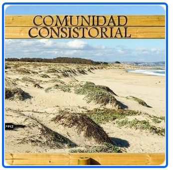 nueva-portada